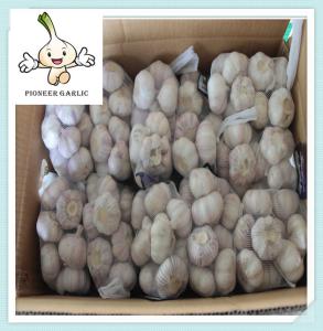 Wholesale 2016 crop farmer lowest garlic price in China The Best Healthy Product Garlic from china suppliers
