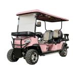 Customizable Electric Golf Cart With 30-40 Km/h Speed And 1000kg Capacity