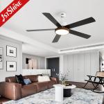 Lower Noise DC Motor Ceiling Fan Light with 6 Speed Remote Control White Housing