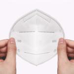 Anti Dust Disposable KN95 Mask 17.5x9.5cm White List NB2834 FFP2 Mask