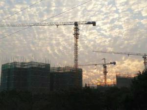 Wholesale Lifting Capacity 4ton 51m Topless Tower Crane For High Rise Building Construction from china suppliers