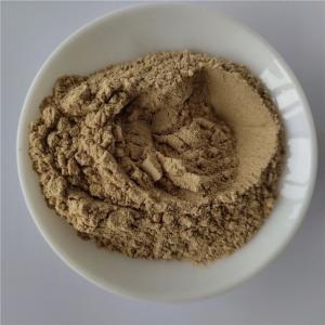 Wholesale health care product nutrition supplement fucoxanthin powder from china suppliers