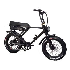 Wholesale Domanca 48v 1000w Retro Ebike with 20 Ah Battery Capacity and Charging Time of 1-3 Hours from china suppliers