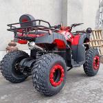 Electric Start 250cc Quad Bike with 500W Motor and Axle-Driven All-Terrain