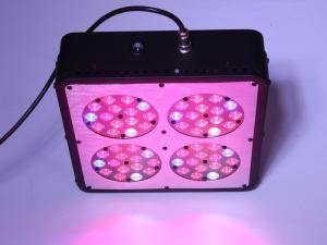 Wholesale LED Grow Light Indoor Plant Lamp Cidly Led Grow Lighting indoor Hydroponic Grow System from china suppliers