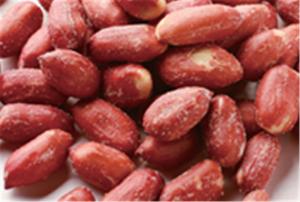 Wholesale Beer Nuts Big Red Candy Coated Peanuts Kernel Various Taste HALAL Certifiaction from china suppliers