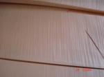 Sliced Natural Figured Maple Wood Veneer Sheet