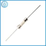 High Breaking Capacity 5x20mm Time Lag Cartridge Fuse Link 5242100203C 10A 250V