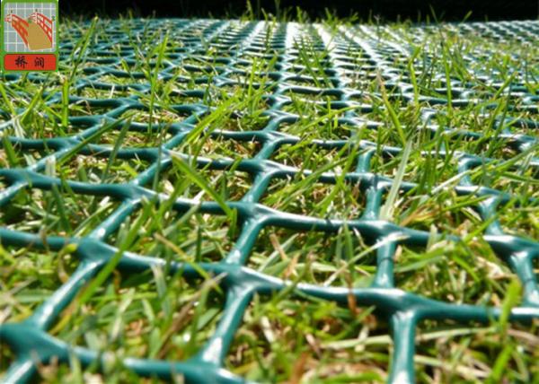 Quality Grass Protection Turf Reinforcement 650GSM Garden Mesh Netting for sale