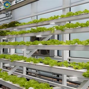 Wholesale ISO Certification Commercial Hydroponic Greenhouse For Agriculture Anti Corrosion from china suppliers