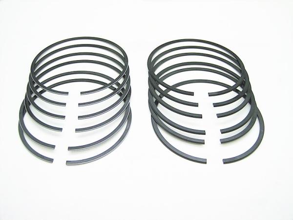 Wearproof Oversized Piston Rings Dieselmotor DODgeAS900 100.0mm 3+2.5+4 For