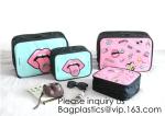 Storage Bag Chest/Waist Bag Camera Bag Pet Bag Casual Bag/Backpack Wallet