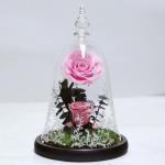 Beauty and the beast roses valentines day real preserved rose in glass that