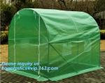 Excellent Material Agriculture Greenhouse/Low Cost Green House,High quality