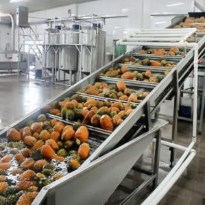 Wholesale Full Automatic Fruit Juice Filling Production Line  pineapple fruit juice concentrate pulp jam processing making machine plant from china suppliers