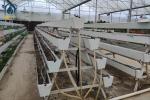 Modern Agricultural Strawberry Growing Troughs Greenhouse PVC Hydroponic Grow
