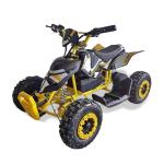Discover the Excitement of Our Mini Quad Buggy ATV 500W Electric ATV for Kids