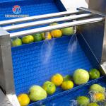 250KG Hair roller bubble cleaning machine automatic high pressure spray washing