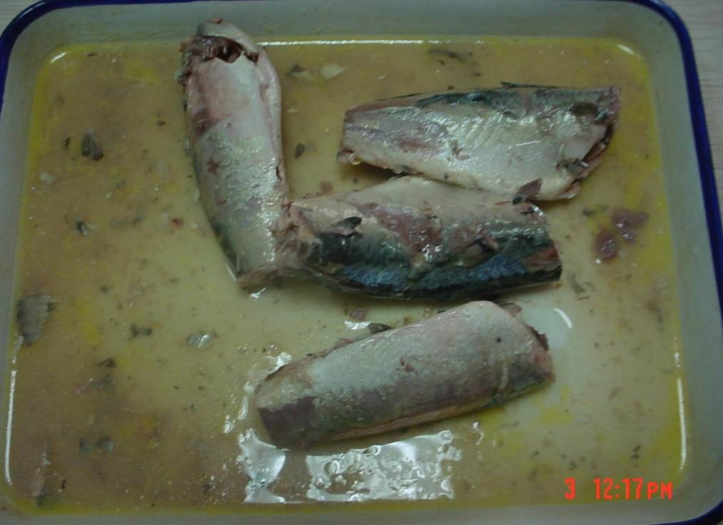 Private Label Boneless Skinless Sardines , Salt Packed Sardines HACCP Listed