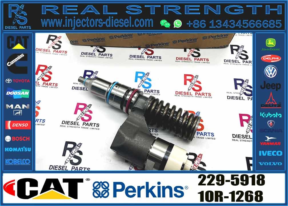 3176C C10 Engine Fuel Injector 10RO963 229-5918 212-3463 212-3464 137-2500 10R-0725 For Caterpillar Mechanical Parts