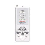 ABS FM Speaker Radio Wireless Speaker 3V With Stereo Earphone Portable
