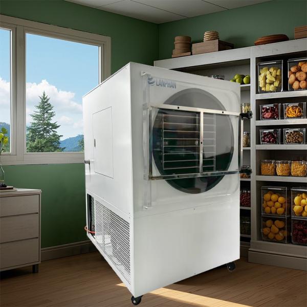 60-70 Kg/Batch Food Fruit Vegetable Large Freeze Dryer Commercial Freeze Drying