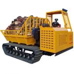 Farming Equipment Agricultural Track Carrier Oil Palm Mini Crawler Dumper 5 Ton