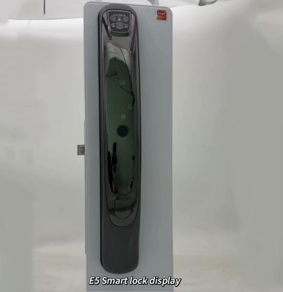 ELA 3D Face Recognition Autoclose Fingerprint Digital Electronic Camera Tuya APP