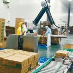 20kg Carton Automatic Arm Robot Palletizer Carton Bag Suction Cover Palletizing