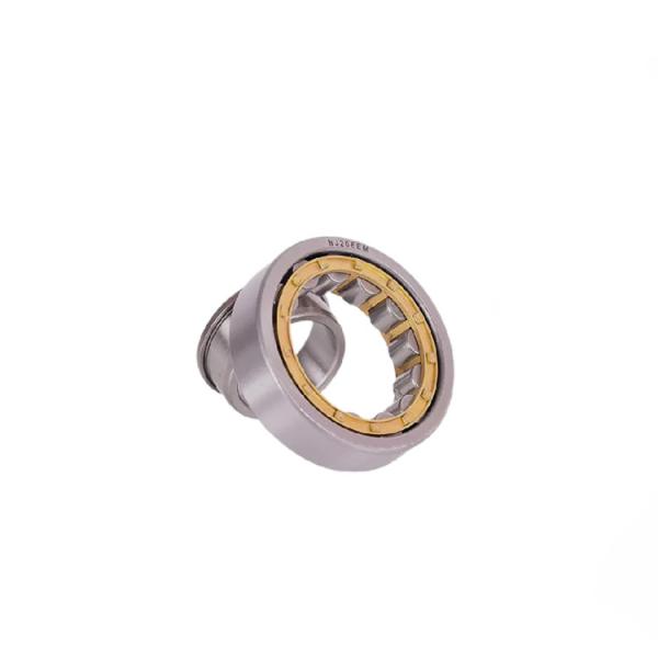 N Type Cylindrical Roller Bearing N202 NU202 NF202 NJ202 Nu 202 Bearing