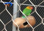 Ferrule Type Stainless Steel Bird Mesh Diamond Shape Corrosion Resistant