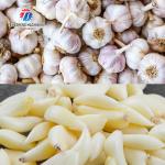 90KG Restaurants Power Saving Garlic Processing Machine Airflow Generation