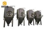 Stainless Steel Beer Brewing Equipment / Microbrewery Equipment With Wort Cooler
