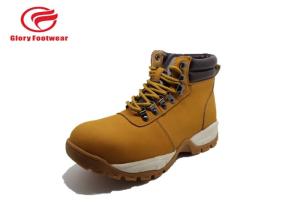 Wholesale Nubuck Soft Sole Industrial Safety Footwear EVA With Round Cotton Lace Sport Style from china suppliers
