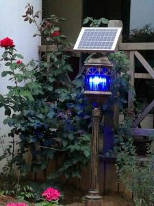 China All in One Solar Powered Mosquito repellent light for garden on sale