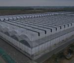 Multi-Span Hydroponic Greenhouse System for Production and Commercial Experiment