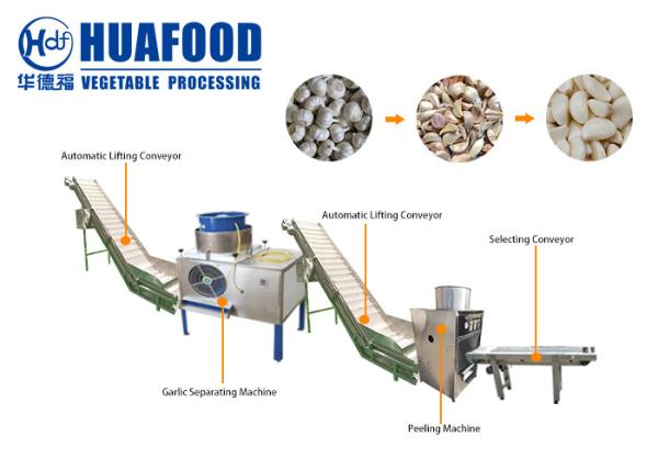 1000-2000 kg/h Industrial Automatic Garlic Peeler Processing Machine Production