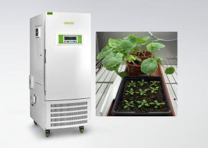 China CE Humidity Control Plant Growth Chamber For Plant Tissue Culture Special Type on sale