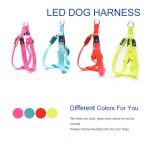 LED Light Up Dog Harness Night Waterproof Pet Vest OEM ODM Available