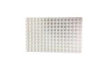 160 Well Seedling Tray Seedling Tray Eps200 Well Seedling Tray Epsseedling Tray