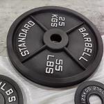 Steel Iron Free Weights Gym Fitness Exercise 5LB 10LB 25LB 35LB 45LB