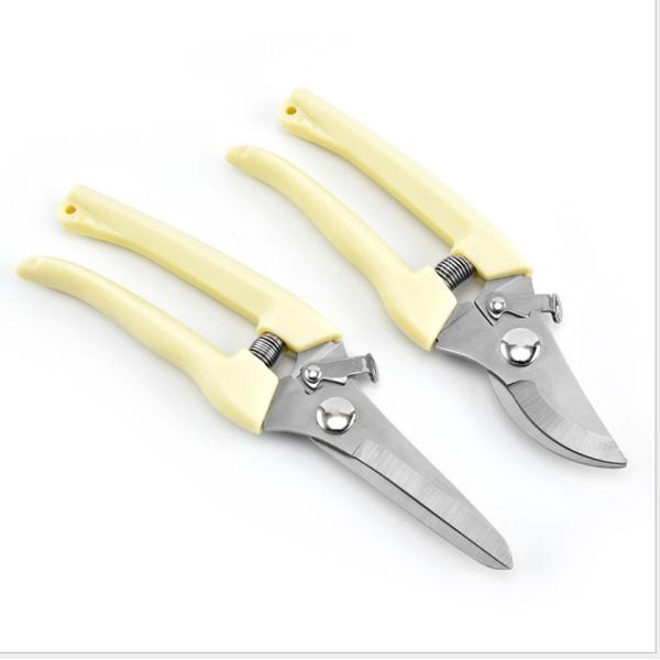 Good Packing Cheap Price Stainless Steel Blade Flower, Vegetable Cutting Scissor Pruner For Sales