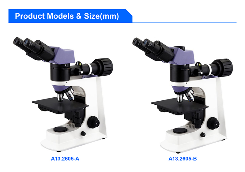 Objective 10x Binocular Metallurgical Optical Microscope Halogen 100 - 240V