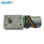 2838 Brushless DC Worm Gear Motors 12V High Torque With Hall Sensor