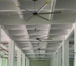 Air Cooler Big 75RPM 5 Blade HVLS Fan