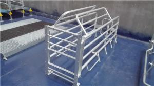 Wholesale used pig farrowing stall pig crate farming equipment in india from china suppliers