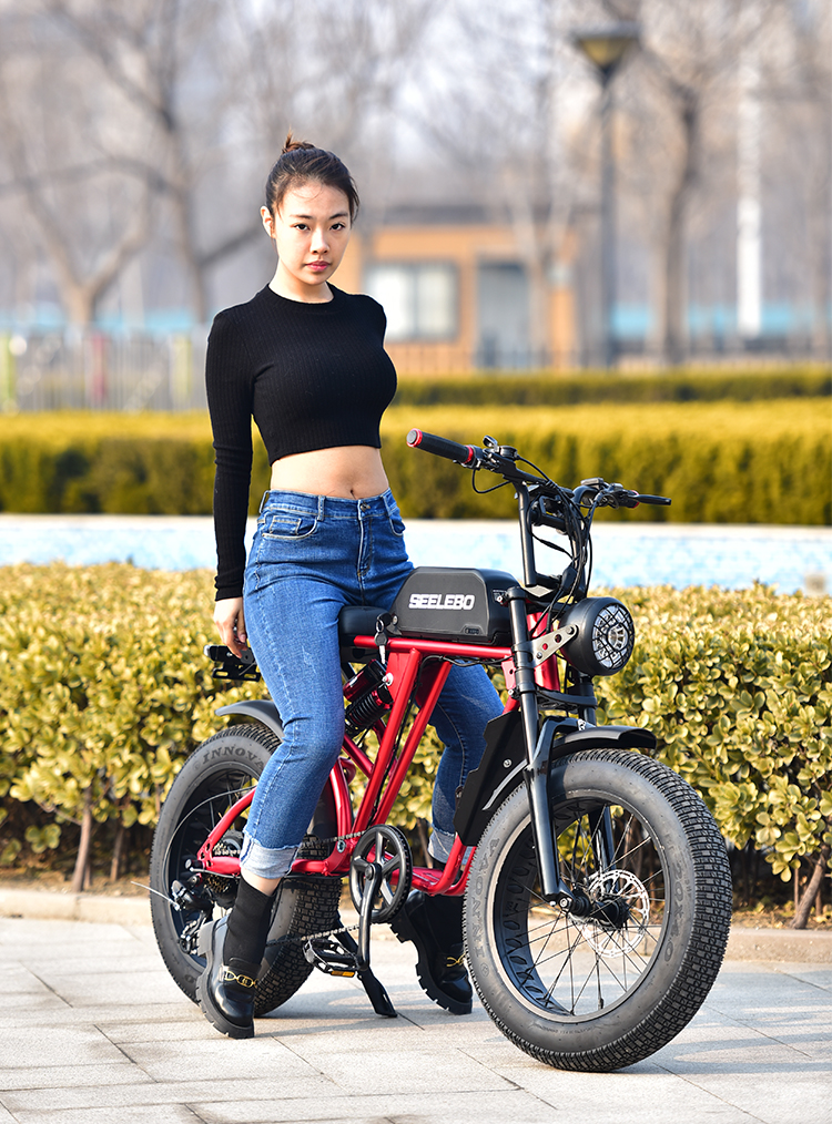 Electric Bicycle GOMID 750W 48V 20 Inch E Bike Mountain Fat Tire Ebike With High Power Motor