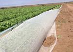 Coating PP Agriculture Non Woven Fabric Anti Aging Customized Width