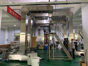 China Customized Z Type Bucket Elevator Working With Multihead Weigher Packing System on sale