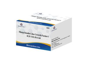 Wholesale Sheep Igf1 Elisa Kit Insulin Like Growth Factor I Somatomedin from china suppliers